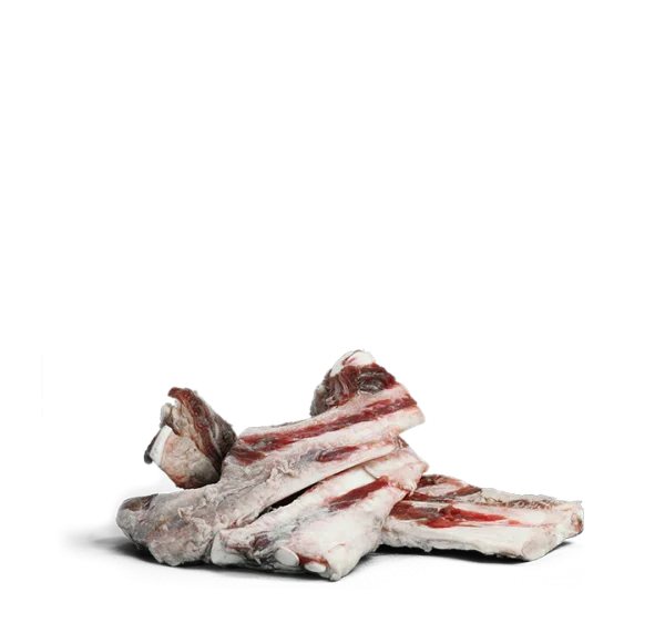 Kalvbröstben