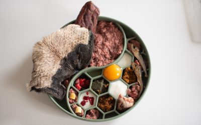 Födoberikning