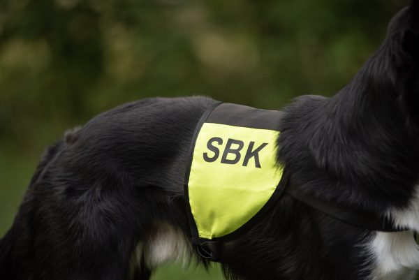 SBK-Tjänstetäcke