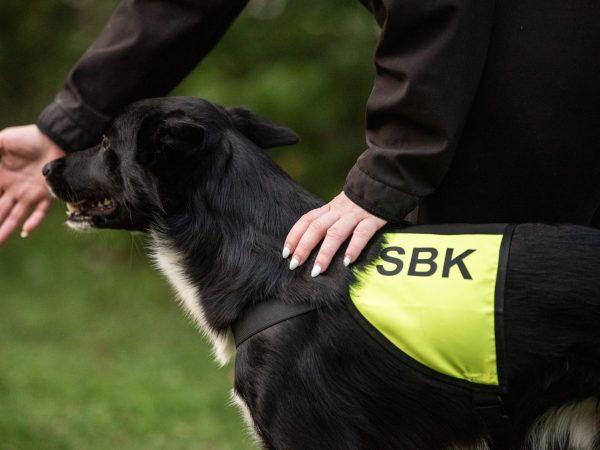 SBK-Tjänstetäcke
