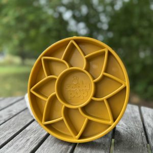 sundflower
