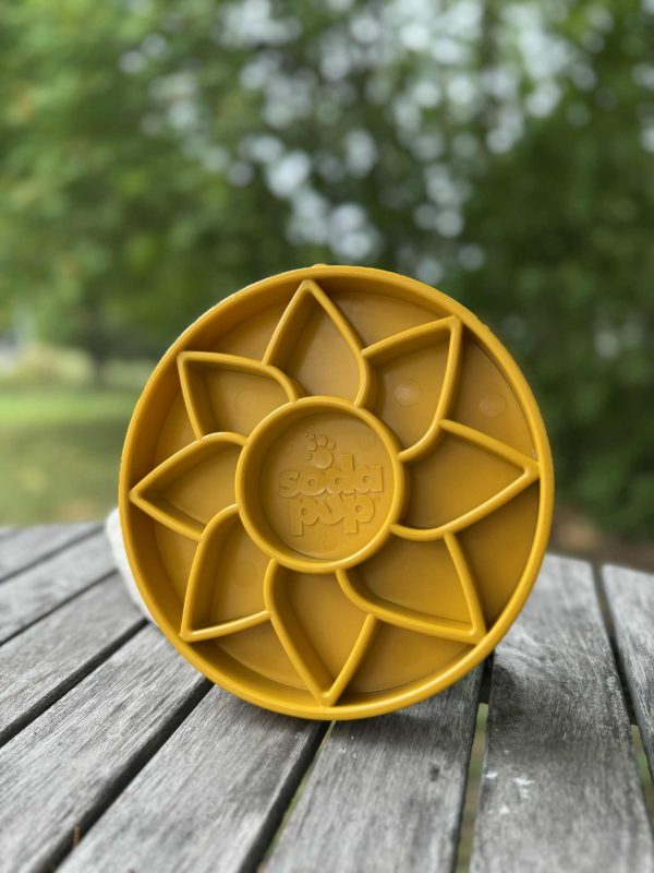 sundflower