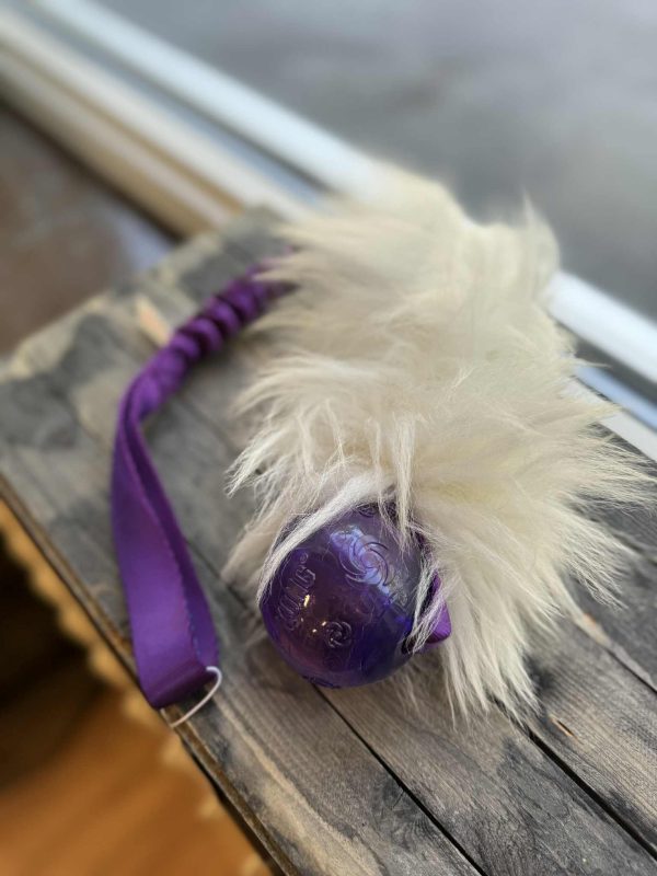 Elastisk fårskinnskampis L med KONG Squeezz
