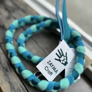 Braided agility leash
