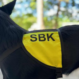sbk tjänstetäcke