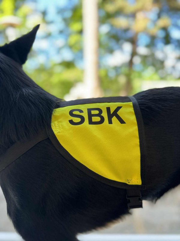 sbk tjänstetäcke