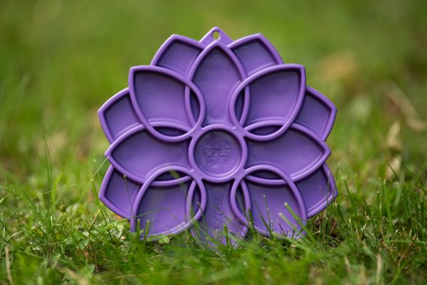 Mandala-lila