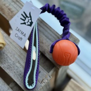 Strato Ball with bungee