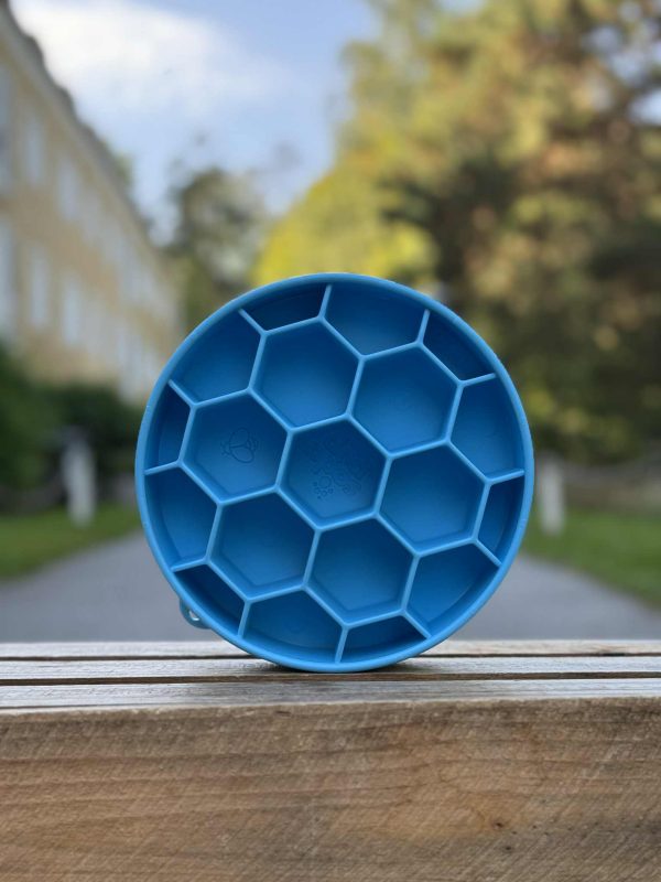 Honey Bowl Blue - Bild 2