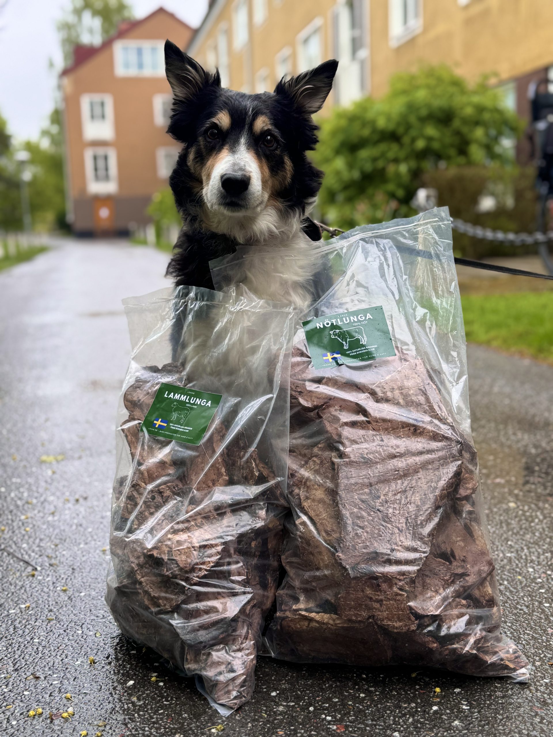 LEAHS Nötlunga